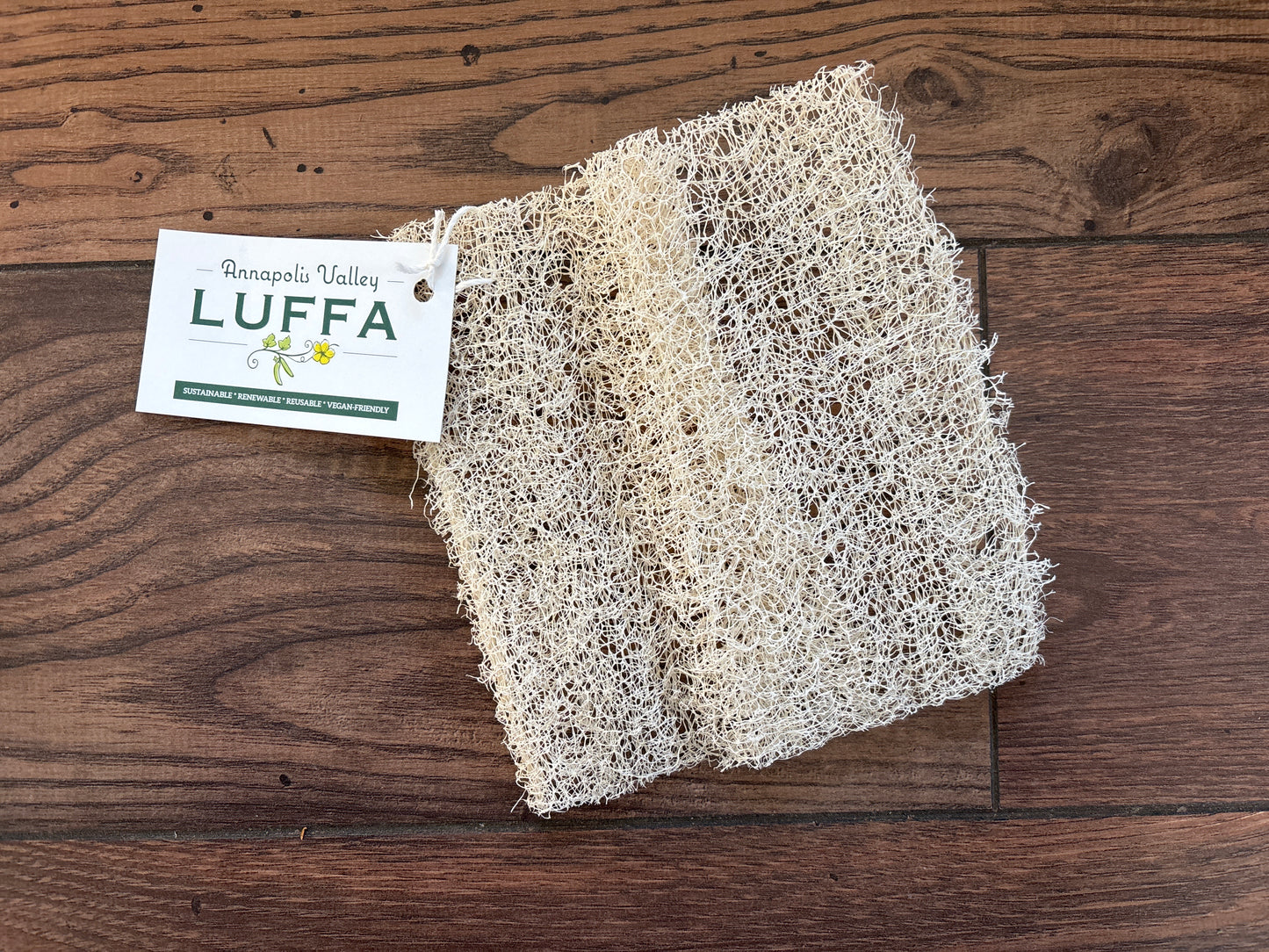 Annapolis Valley Luffa